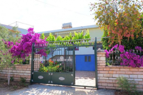 Vita Apartament